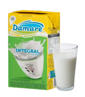 LEITE L. V. DAMARE TP 1L